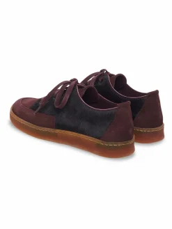 Collection Hiver^Arche Sneakers Vaname