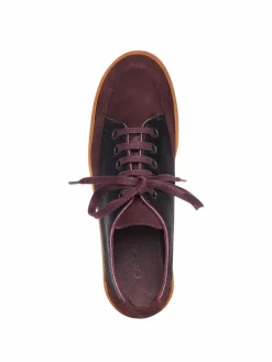 Collection Hiver^Arche Sneakers Vaname