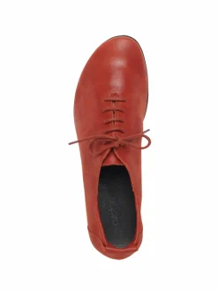 Collection Hiver^Arche Trotteurs Baryza